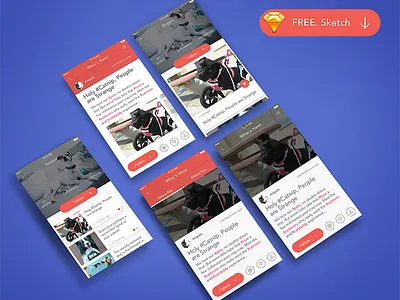FREEBIE MOBILE INTERFACE DESIGN IN SKETCH app detail feed follow free freebies mobile profile sketch