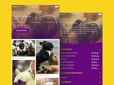 Breed details app colorful details dog ios puppy ui ux