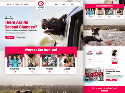 Dog Fostering Website adoption animal cat clinic dog donate donation foster minnesota rescue vet veterinary