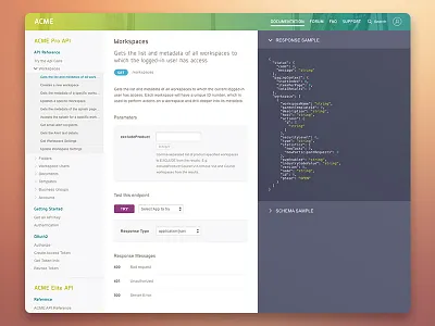 Developer Portal concept developper panel portal ui