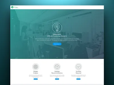 Affiliate Customer Insights Landing Page affiliate responsive web design web development