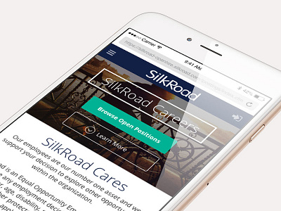 Mobile Career Portal - Landing Page career portal hr software ui design