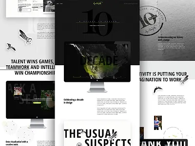 Decade Behance agency birds case study cut out data viz elegant seagulls history team timeline