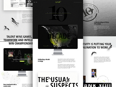 Decade Behance agency birds case study cut out data viz elegant seagulls history team timeline