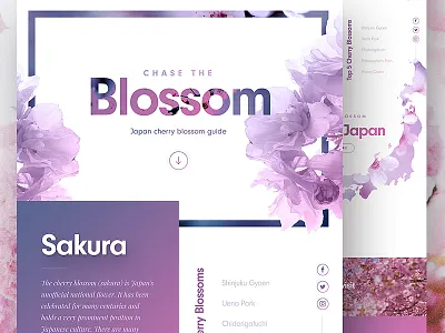 Cherry Blossom Landing Page 🌸 clean concept homepage japan landing page travel ui ux web web design website