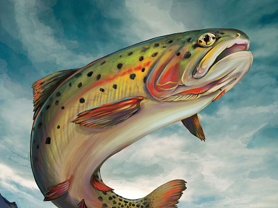 Cutthroat fish trout wildlife