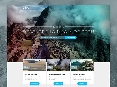 The New Eyewiz - WIP app design eyewiz home landingpage productdesign startup travel ui uidesign ux webdesign