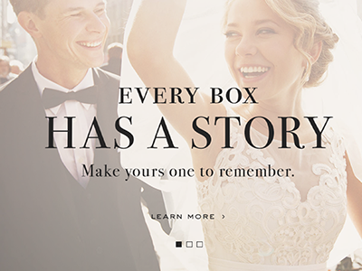Lee Michaels Website Redesign branding graphic design logo web design
