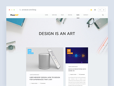 Pixxe Cat Blog Page blog colours concept follow header icons post redesign resume search social