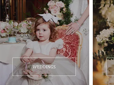 Paul Thomas Flowers Mayfair e commerce website ecommerce florist website website