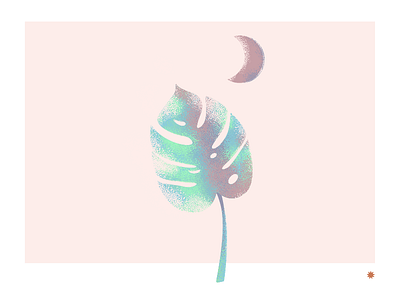 palm illustration leaf moon palm retro texture vector