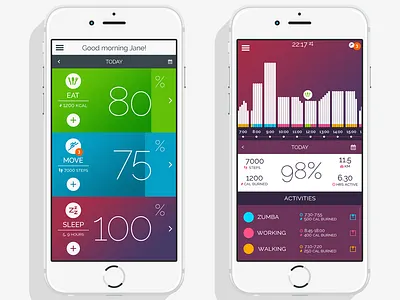 The Sport App app iphone ui ux visual design