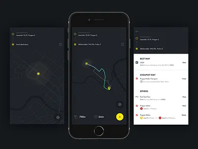 Navigation App app ios iphone location map navigation principle ui ux