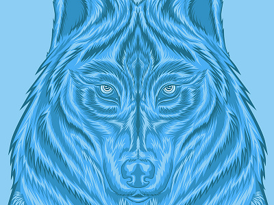 Shadowland Wolf illustration vector wolf