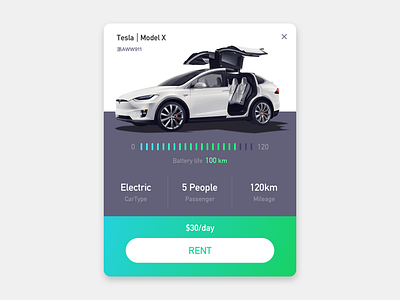 Tesla Rent car electric rent tesla