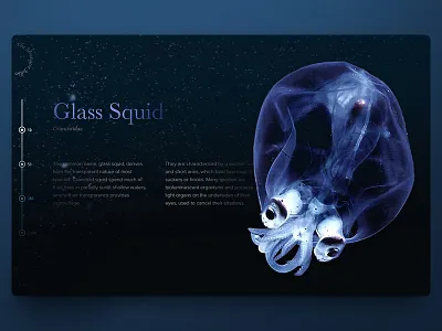 The Strangest Jellies #4 sea squid web design
