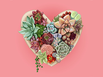 Birthday Succulents digital drawing heart illustration plants succulents