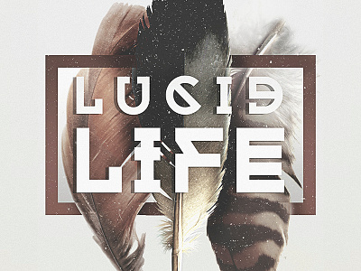 LUCXD LXFE apparel clothing feather geometric lettering merchandise photoshop shirt tee typography