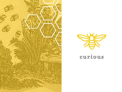 Bee curious honey labels bees honey illustration label local package design present swag takeaway gift