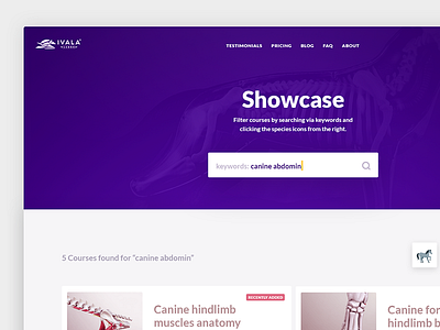 IVL Showcase canine feline kalman magyari search showcase veterinary