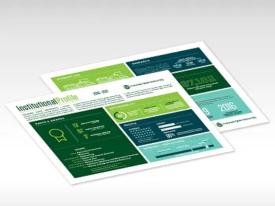 Institutional Profile