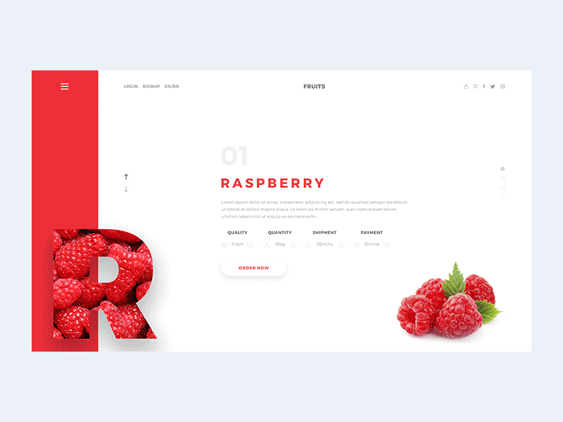 Fruits-x color creative explore food fruit fun layout nugget orange product split ui