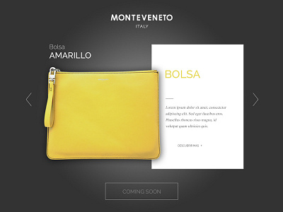 Product Details accessories detail page grey web