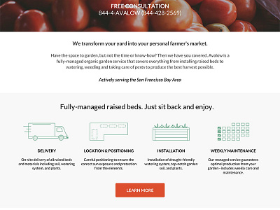 Avalow Homepage - Iconography iconography icons infographics line icons web
