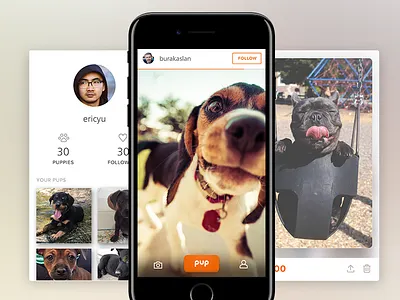 🐶 Pup Up - Cute Puppy Pics! cute dogs pup puppies pups up