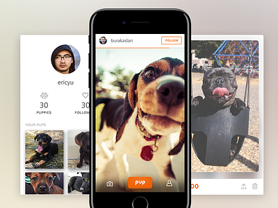 🐶 Pup Up - Cute Puppy Pics! cute dogs pup puppies pups up