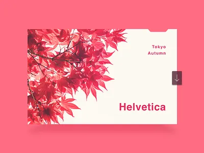 Tokyo Autumn Helvetica app clean design idea photo red simple ui ux web