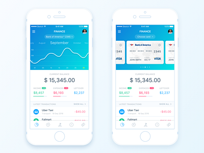 Finance Summary Page app card dashboard finance graphic ios mobile money transactions