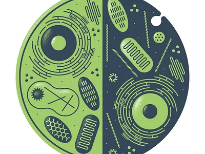 The Building Blocks of Life afe anatomy artists for education biology cells illustration microscope mitochondria nucleus poster science