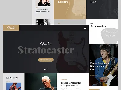 Fender Concept Landing Page design fender guitar landing page ui ux web website