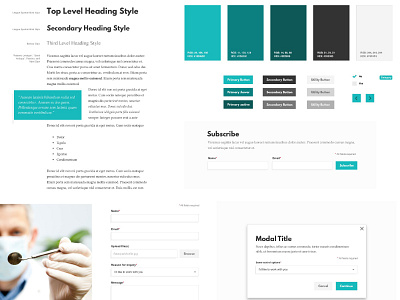 Dental Styleguide dental dentistry monochromatic styleguide ui wintergreen