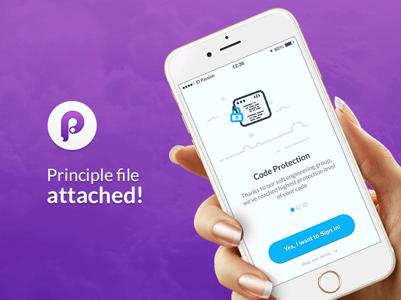 Principle Animation animation application flat design freebie icon illustration mobile app onboarding