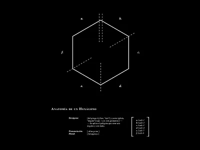 Hexagon Anatomy anatomy apparel dictionary encyclopedia hexagon la sociedad t shirt