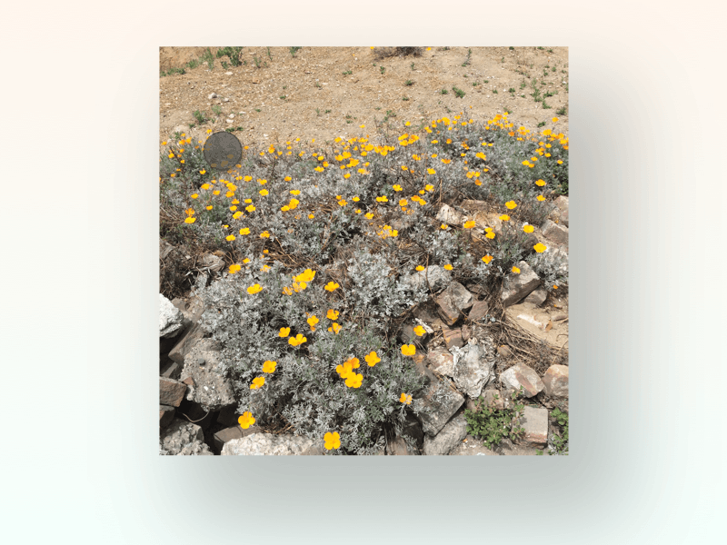 Realistic 3D effect in Flinto animation flinto prototype