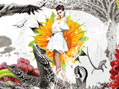Madagascar art graphicart madagascar