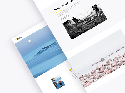 National Geographic Redesign app clean design ui ux web