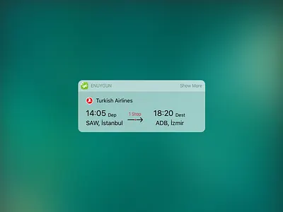 flight widget for IOS airlines app app design booking clean flight free ios ui ux widget