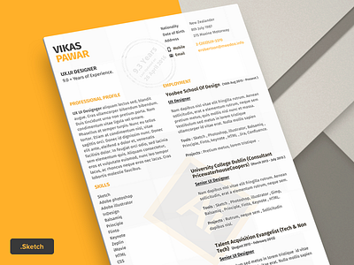 Resume Template-2 resume template. sketch.