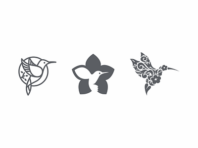 stylization colibri hummingbirds