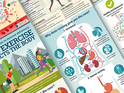 Sports and digestion infographic bacteria digestive illustration infographics sport vector