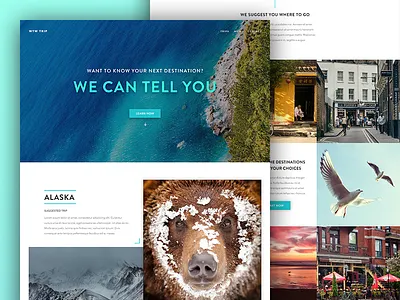 Travel site destination homepage landing landing page nature pictures shadows steps tourism travel trip website