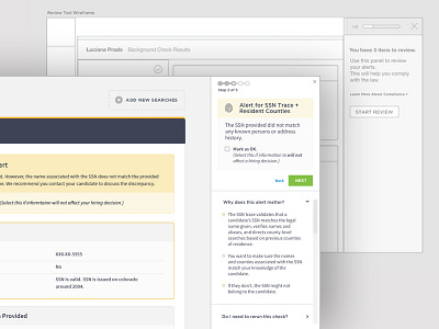Review tool for background checks review tool