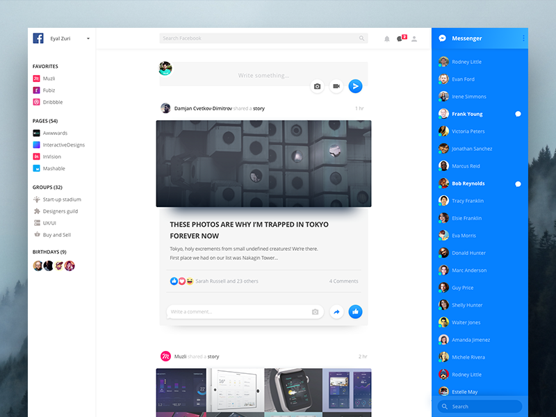 Example of Facebook Redesign