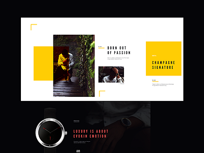 Domenico Watches Exploration – Rejected clean domenico exploration layout minimal typography ui watch web website