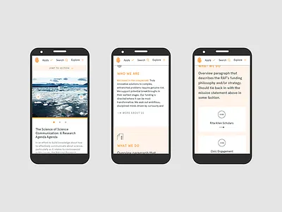 Rita Allen Founation