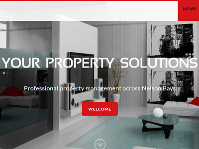 Web Design New Zealand web design web design new zealand website design nelson